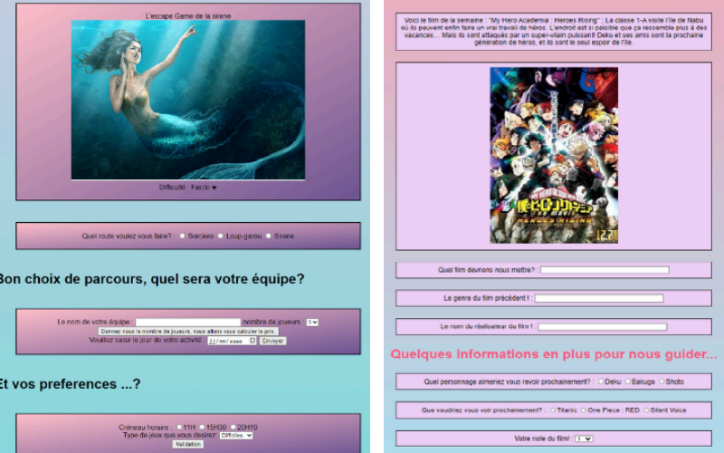 Website example